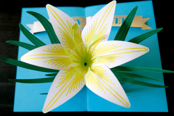 Lily Pop-up Card: 3D SVG for Holidays